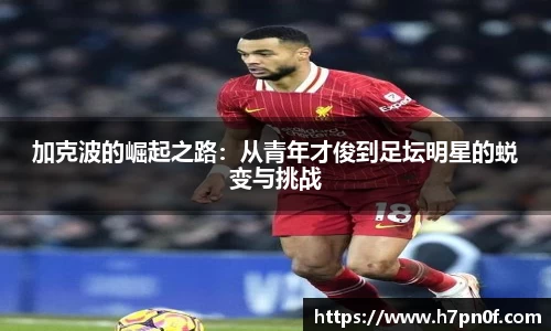bwin必赢官网入口
